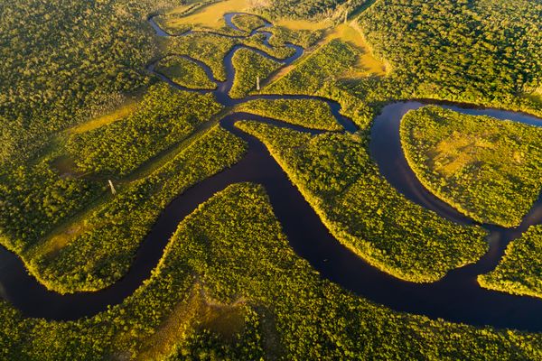 Illustrative background for Environmental impact of Amazonian deforestation