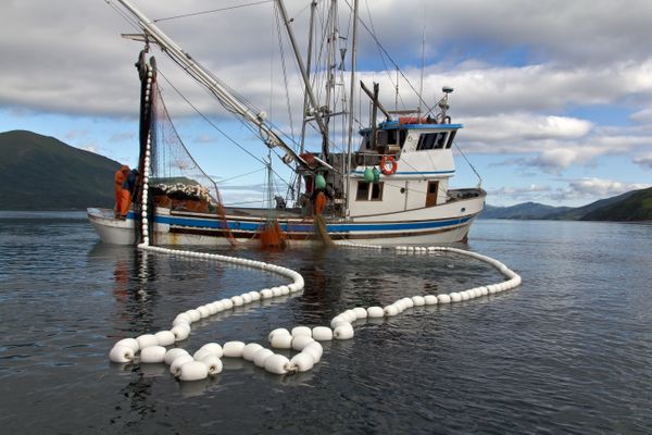Illustrative background for What are the opportunities for fishing in Alaska?
