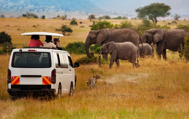 Illustrative background for Advantages of Kenya's growth in tourism