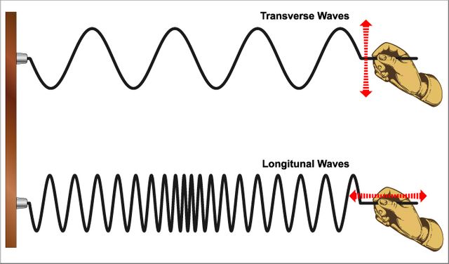 Illustrative background for Longitudinal waves
