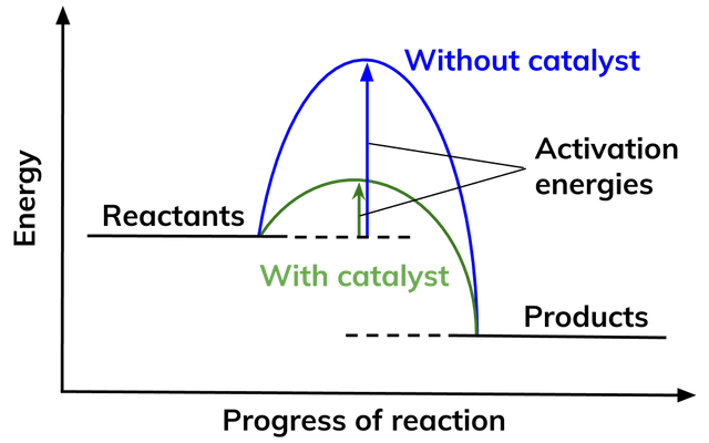 Illustrative background for Activation energy and enzymes