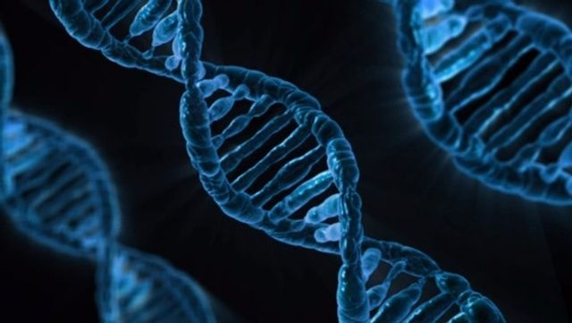 Illustrative background for DNA